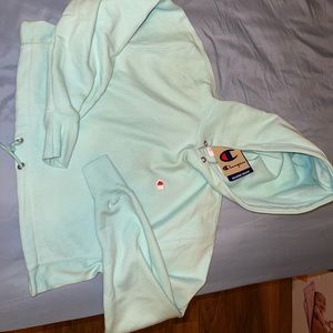 Champion crop hoodie